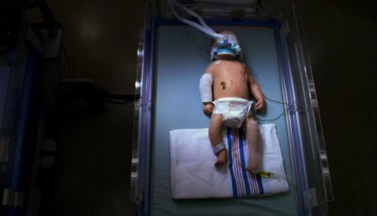 Момент из 22 серии 2 сезона